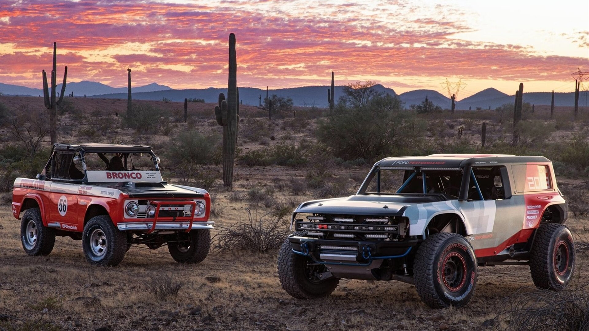 全国青少年“全民篮球示范月”在多城市同步开展，带动全民健身热潮