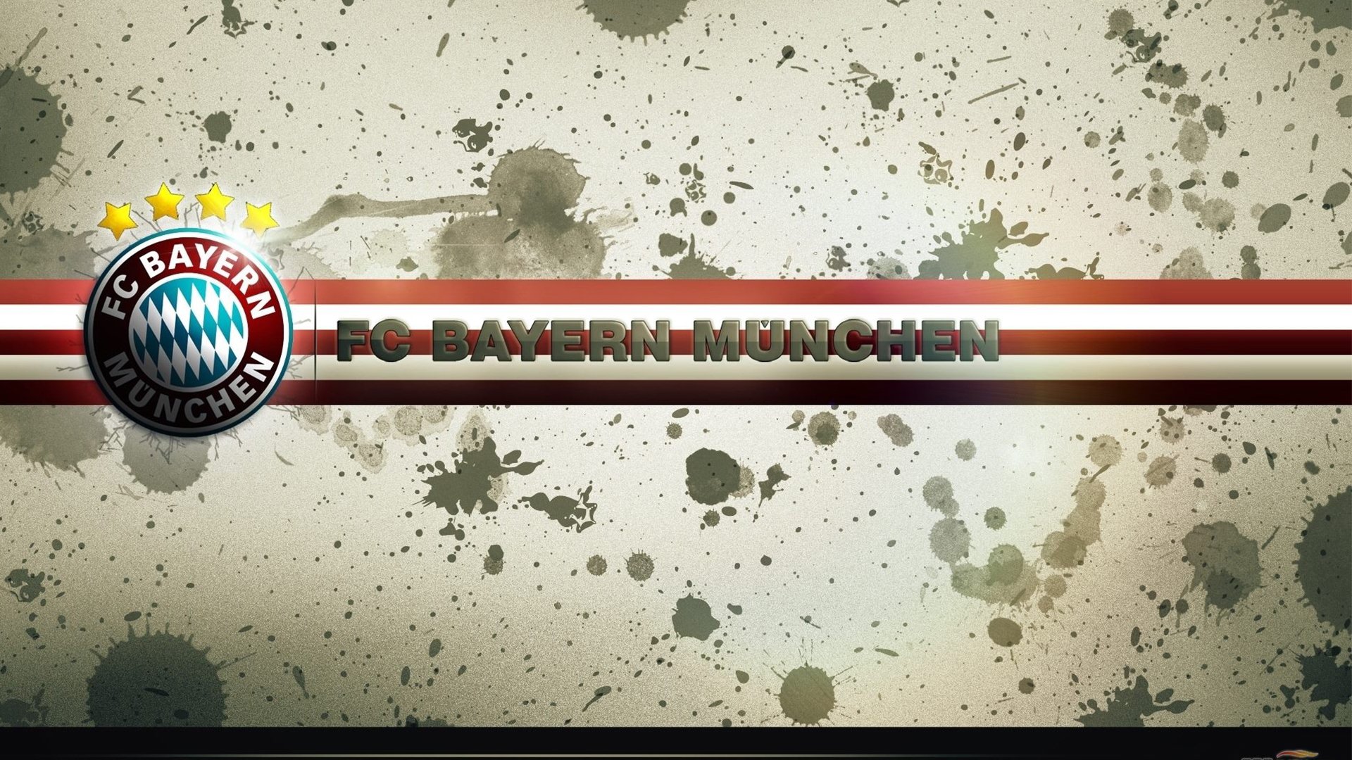 体育新闻中心粉丝互动报道,体育新闻报道视频