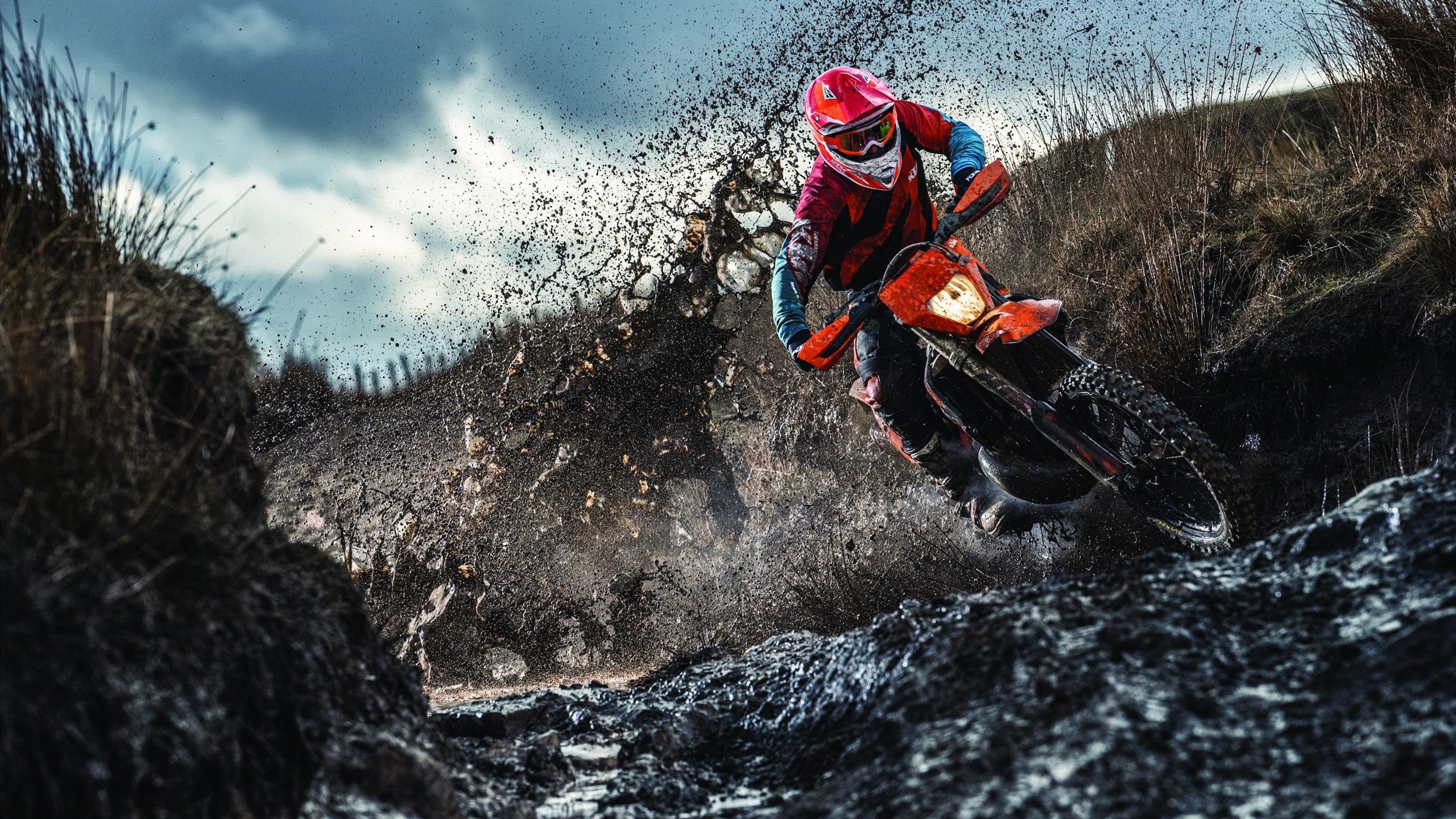 美洲杯决赛激烈拼搏：胜利的荣耀属于最勇敢的那一队，美洲杯决赛打平